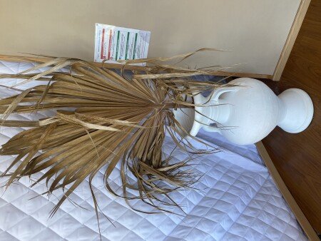 Dôme chic, 1 chambre, avec jardin