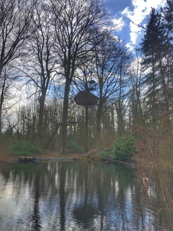 Cabane 1 chambre, avec jardin