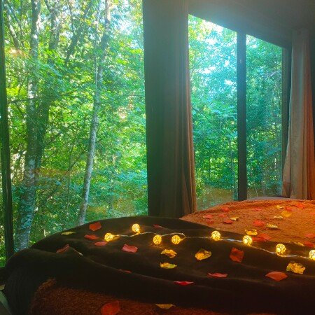 Cabane 1 chambre, avec jardin