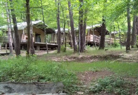 Tente authentique, 1 chambre, avec jardin