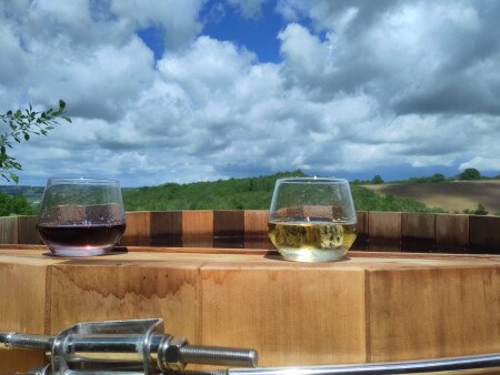 Cabane végétalisée 1 chambre, avec jardin