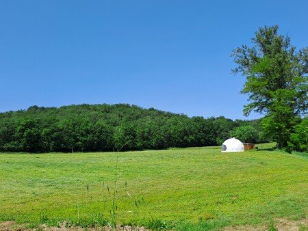 Bulle 1 chambre, avec jardin