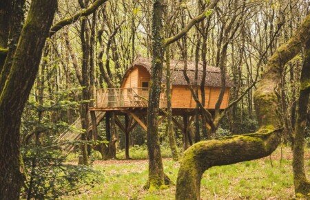Cabane dans les arbres 1 chambre, avec jardin