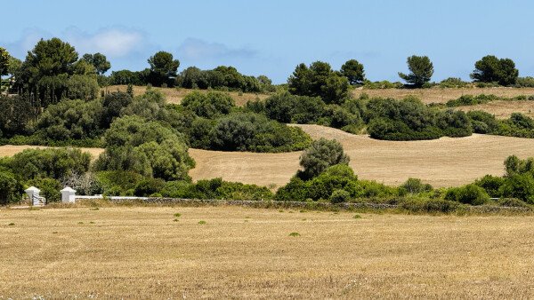 Castello 4 camere, con giardino