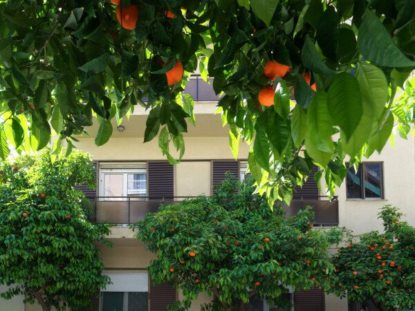 Apartamento 2 quartos, com ar condicionado