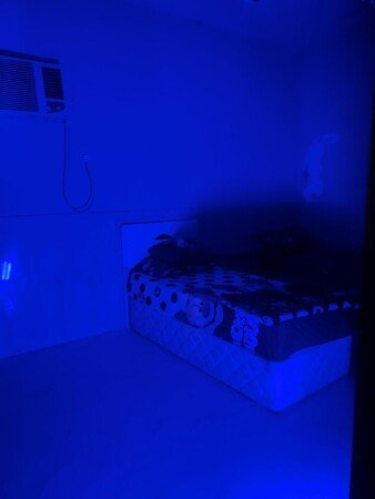 Apartment 2 guests, with garden