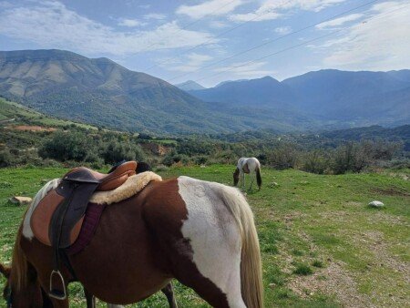 Camping / Mobil Home 1 chambre