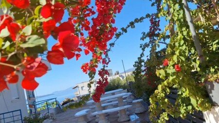 Bed and breakfast 5 ospiti, con giardino