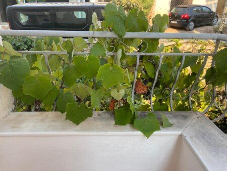 Bed and breakfast 1 camera, con parcheggio