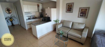Apartamento 1 habitación, con aire acondicionado
