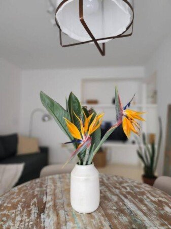 Apartamento 1 habitación, con aire acondicionado