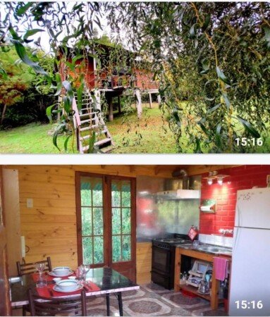 Apartamento 1 habitación, con jardín