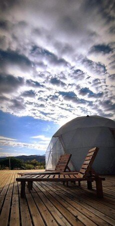 Atípico 1 habitación, con jardín