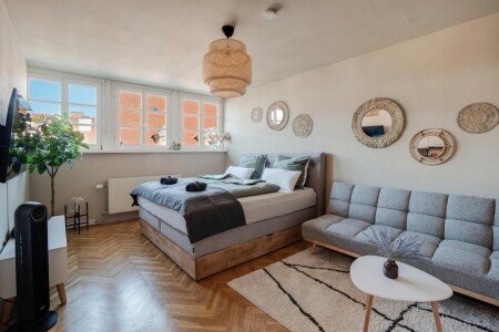 Apartment 1 bedroom, with air conditioning