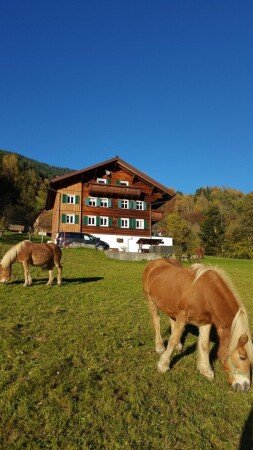 Wohnung 4 Gäste, mit Garten