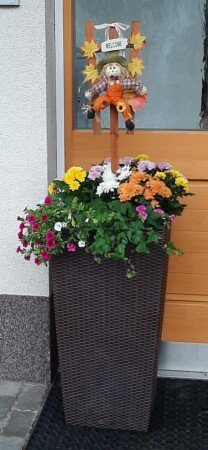 Appartamento 6 ospiti, con giardino