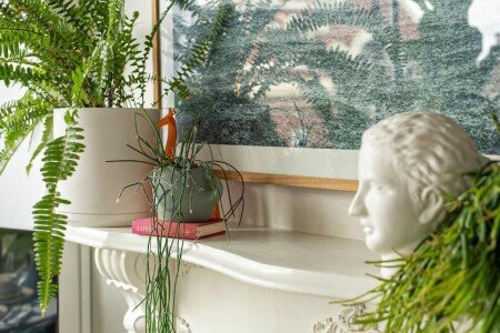 Apartment 1 bedroom, with air conditioning