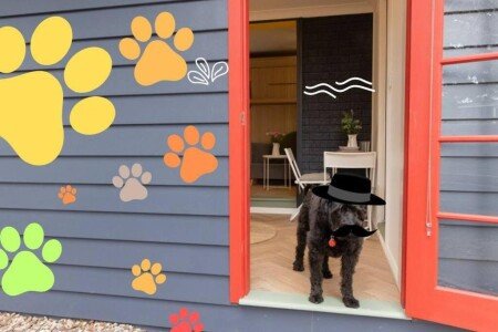 Apartment 1 bedroom, with garden