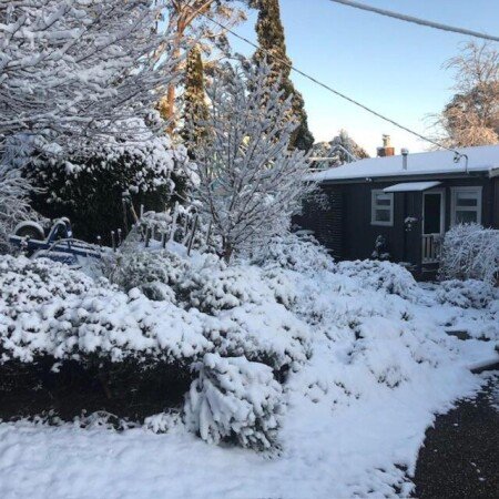 House 2 bedrooms, with garden