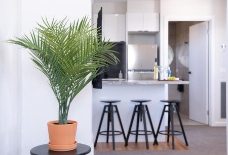 Apartment 1 guest, with garden