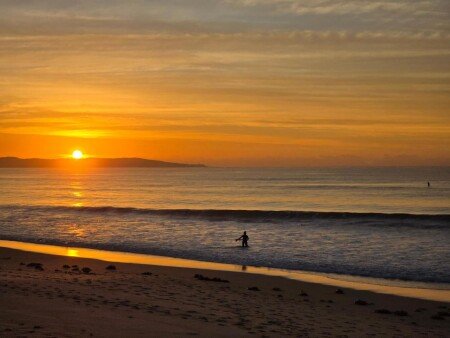 Apartment 1 bedroom, with garden