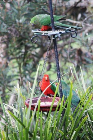 House 1 guest, with garden