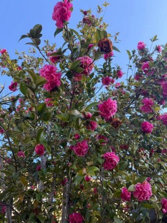 Bed and breakfast 2 guests, with parking