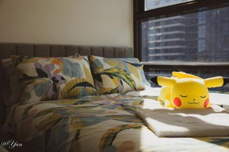 Apartment 2 bedrooms, with air conditioning