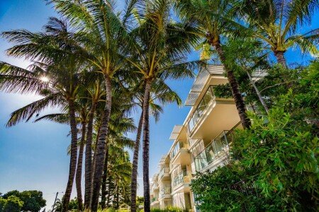 Aparthotel 1 guest, with jacuzzi