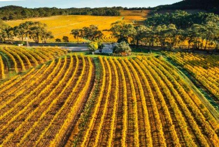 Bed and breakfast 1 guest, with garden