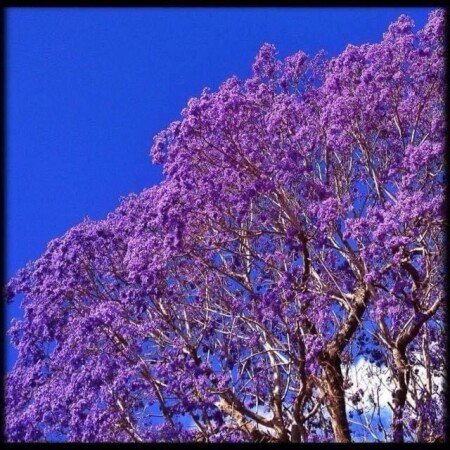 Bed and breakfast 1 bedroom, with garden