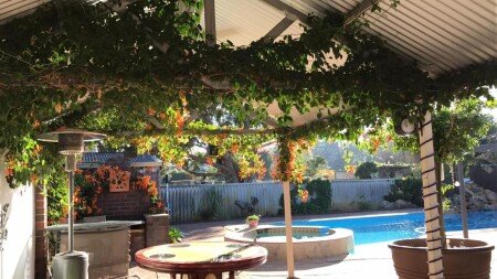 Apartment 3 bedrooms, with pool