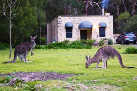 Resort 2 guests, with garden