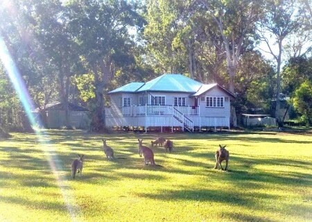 Chalet 3 bedrooms, with garden