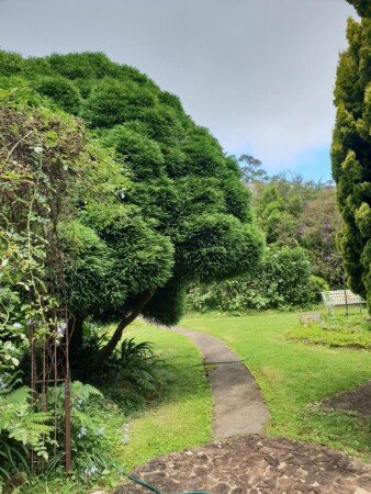 Apartment 1 bedroom, with jacuzzi