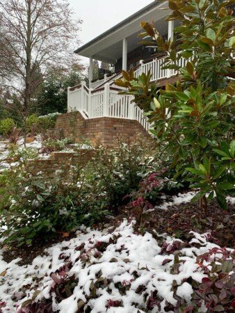 House 2 bedrooms, with garden