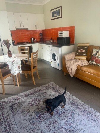 Apartment 1 bedroom, with garden