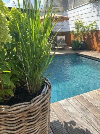 Appartement 1 slaapkamer, met jacuzzi