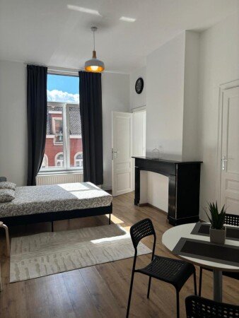 Studio 1 chambre, avec wifi