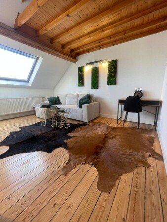 Appartement 1 chambre, avec jacuzzi