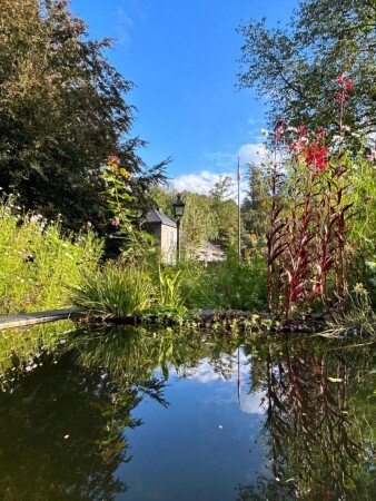 Maison 9 voyageurs, avec piscine