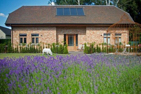 Bed and breakfast 4 gasten, met jacuzzi