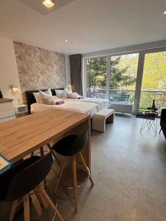 Appartement 1 slaapkamer, met wifi