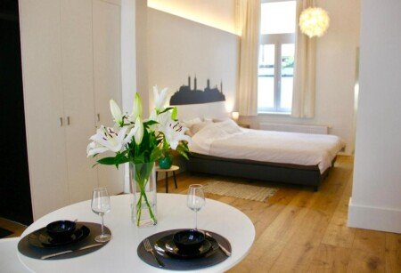 Appartement 1 slaapkamer, met wifi