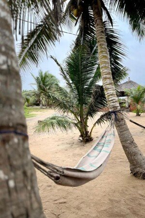 Hôtel chic, avec wifi