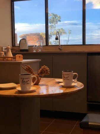 Apartamento 1 habitación, con jardín