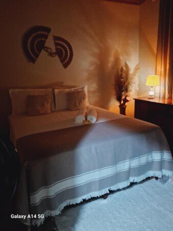 Apartamento 1 quarto, com jardim