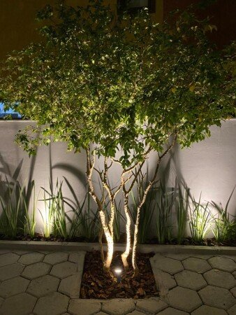 Casa 1 quarto, com jardim