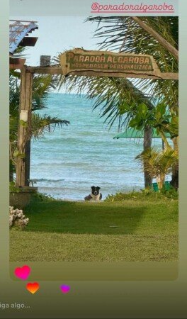 Pousada / Bed and breakfast 1 convidado, com jardim