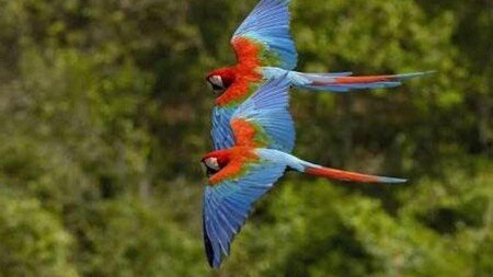 Apartamento 1 quarto, com piscina